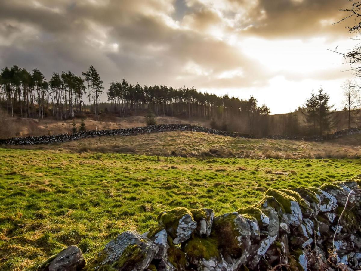 Borgan Cottage Newton Stewart Kültér fotó